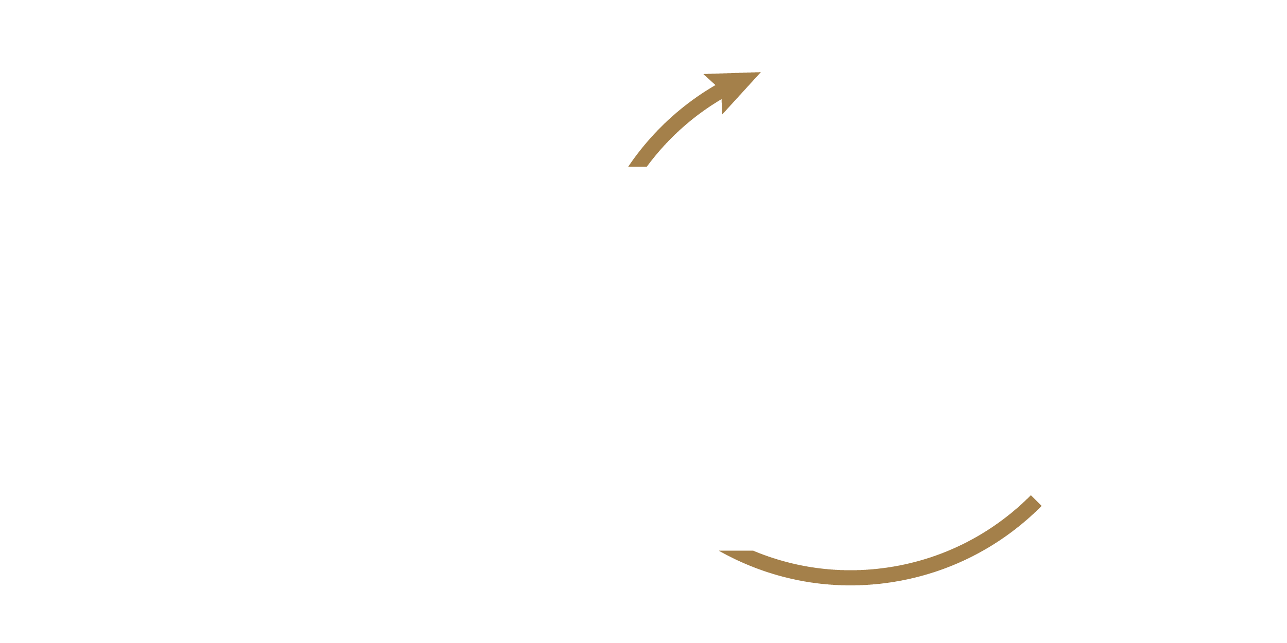 Back To Bouvé